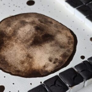 demi-godet d'aquarelle terre d'ombres brulée de chypre