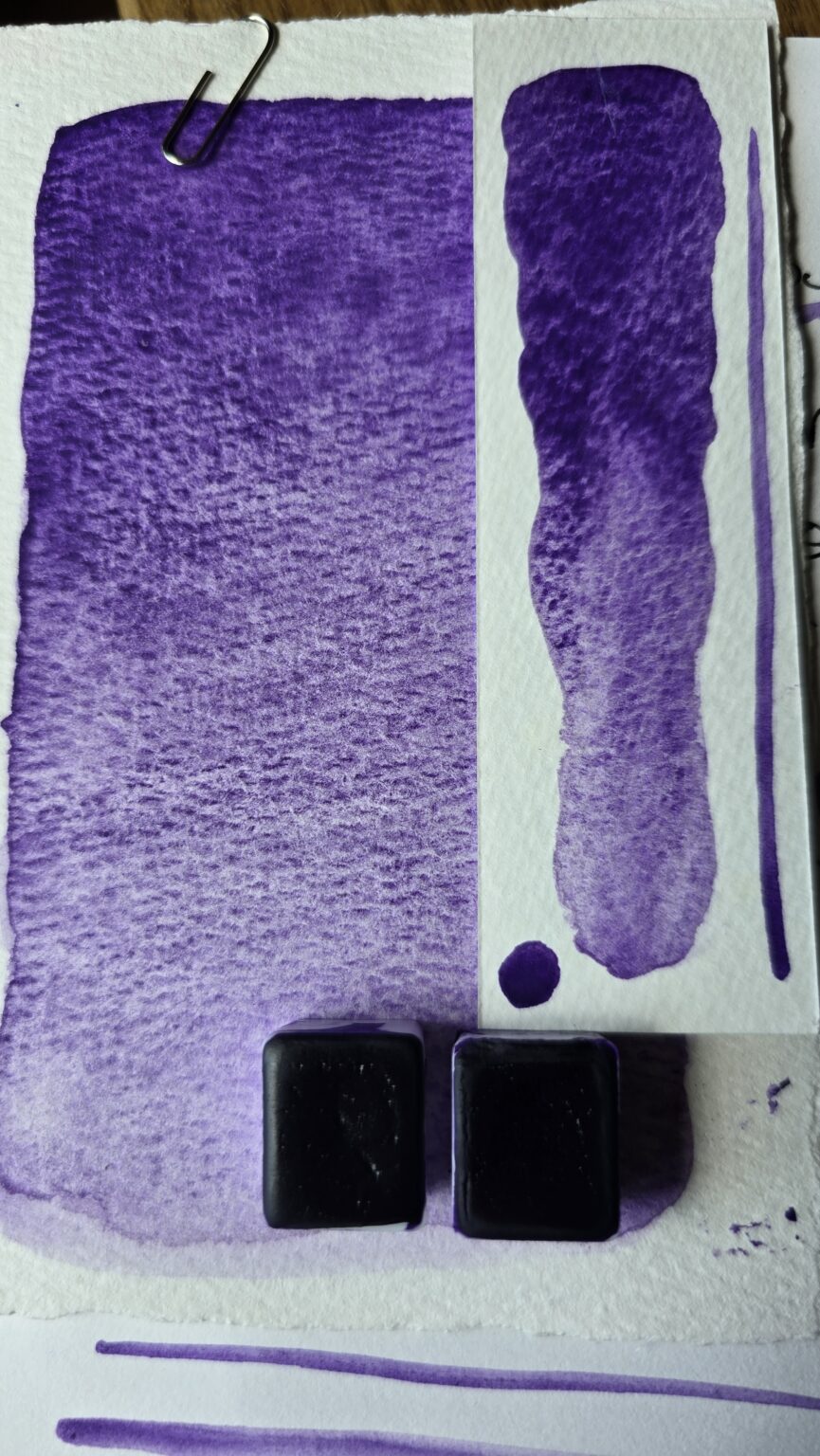 aquarelle haie de jacinthes