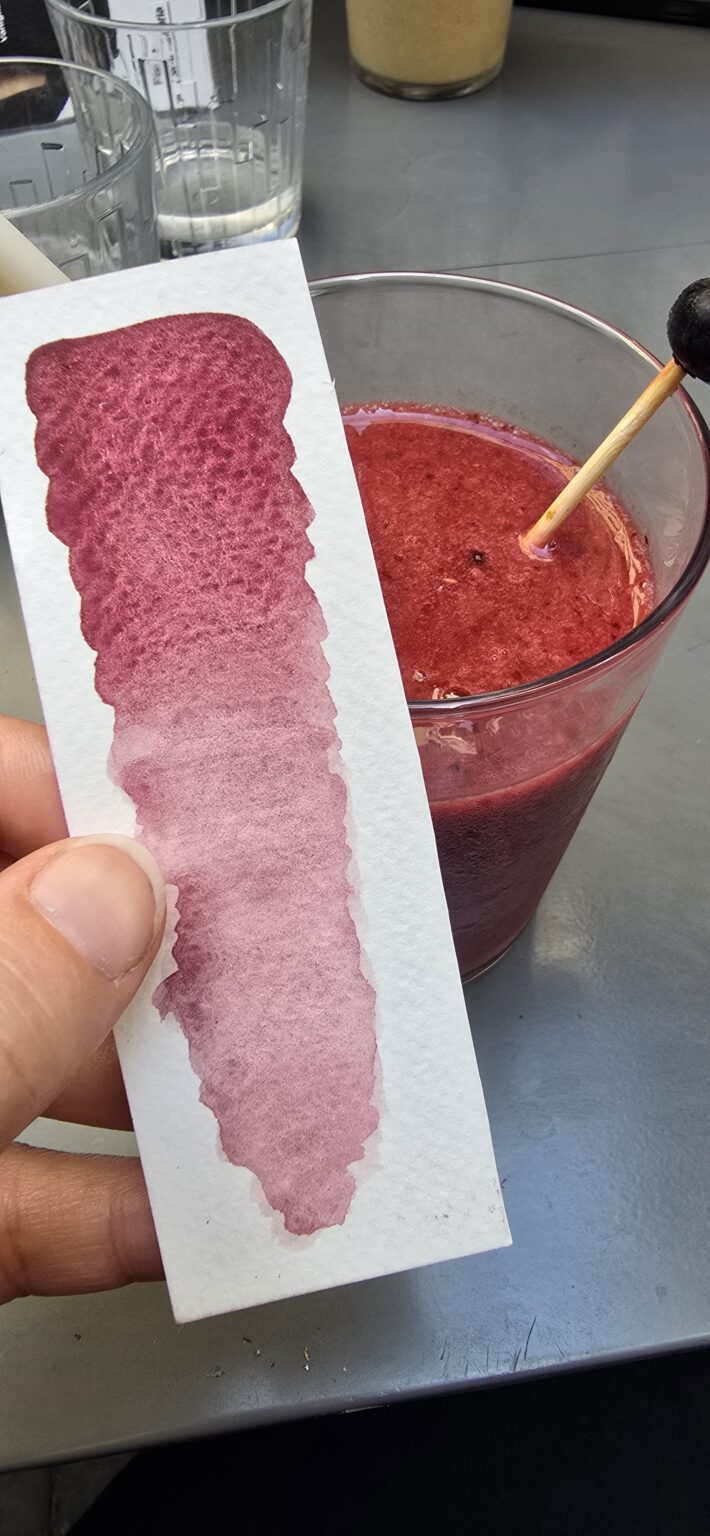 aquarelle framboise salée
