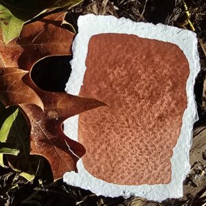 Couleur ÉRABLE CUIVRÉ