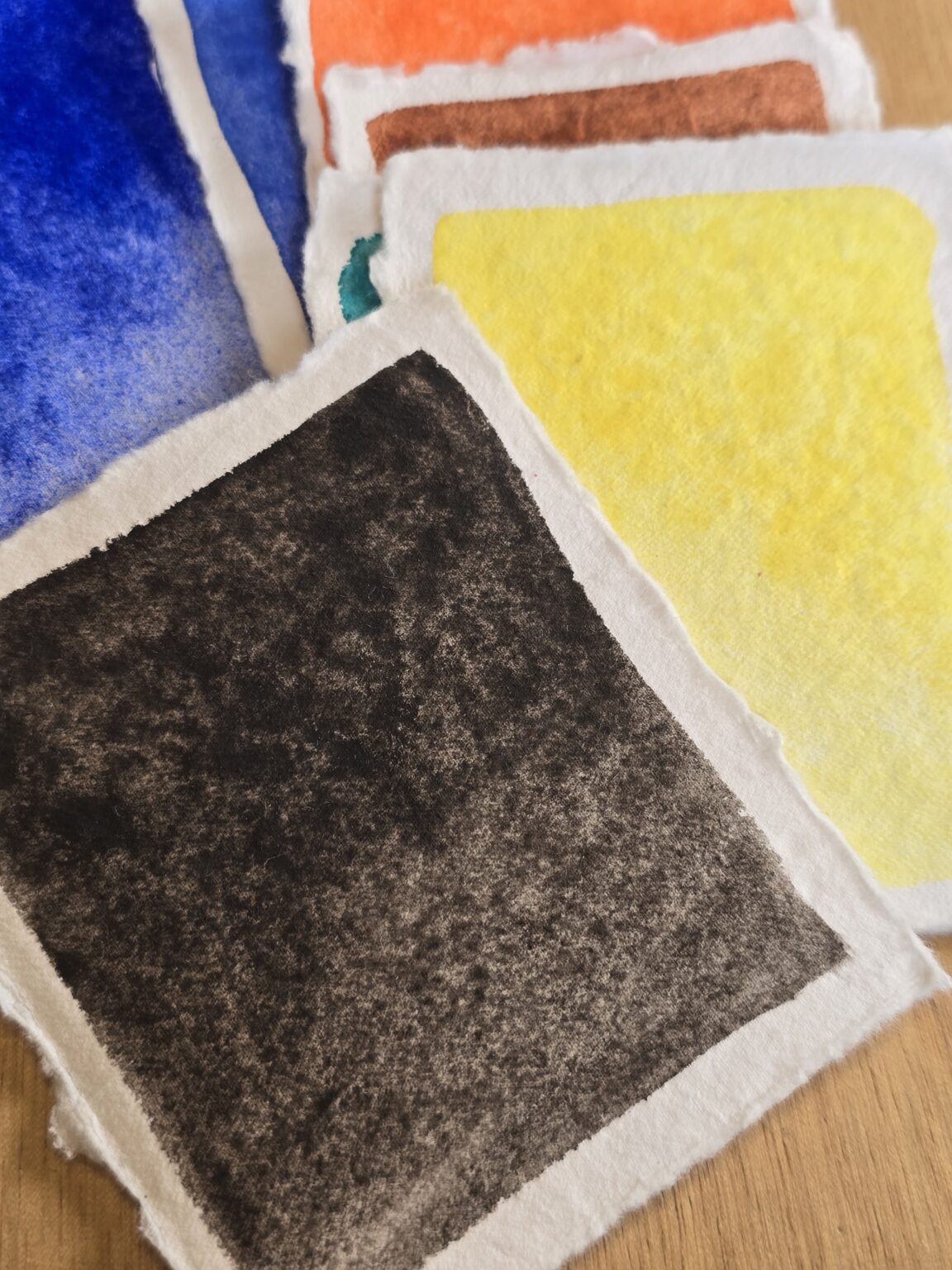 terre noire de rome et mimosa